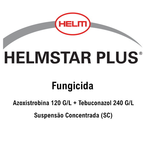 Helmstar Plus